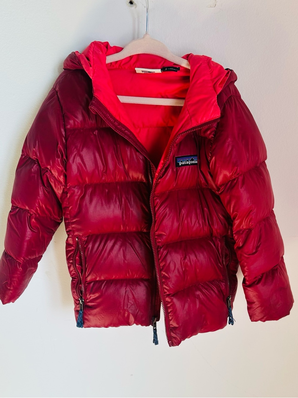 Patagonia Kids Bright Red Hooded Puffer Jacket